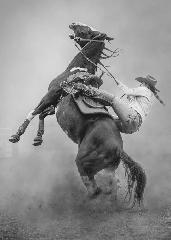 Startled Wall Artwork Gallery Wrapped (Ready to Hang)