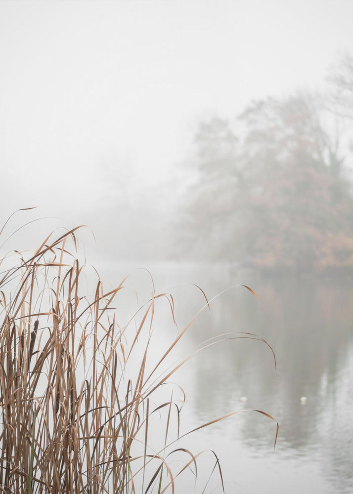 Abstract Art Canvas Print-wall-art-at-the-lake-24X36