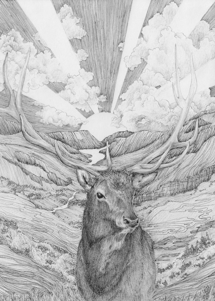 Rise With the Sun Original Wall Artwork In Black Floating Frame