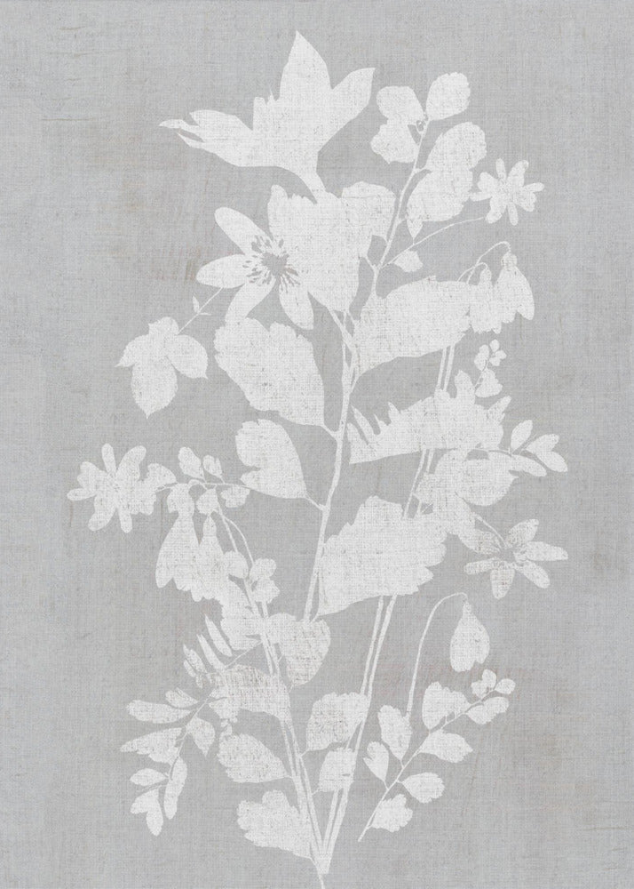 Wall art Botanical Illustration 2