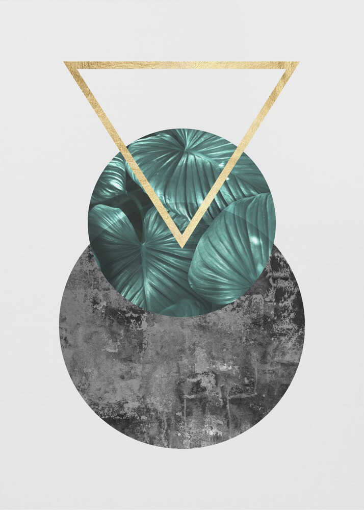 Wall art Botanical and geometric Shape