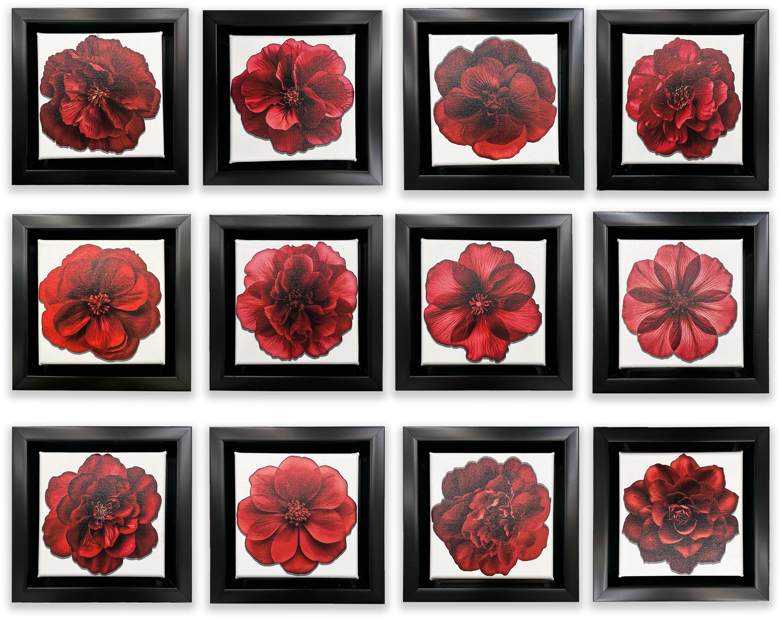 Set of 12 Mini Framed Fine Art Canvases