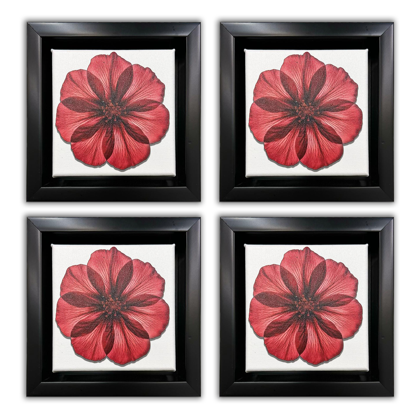 Canvas Print -Set of 4 Framed (Black) Tabletop