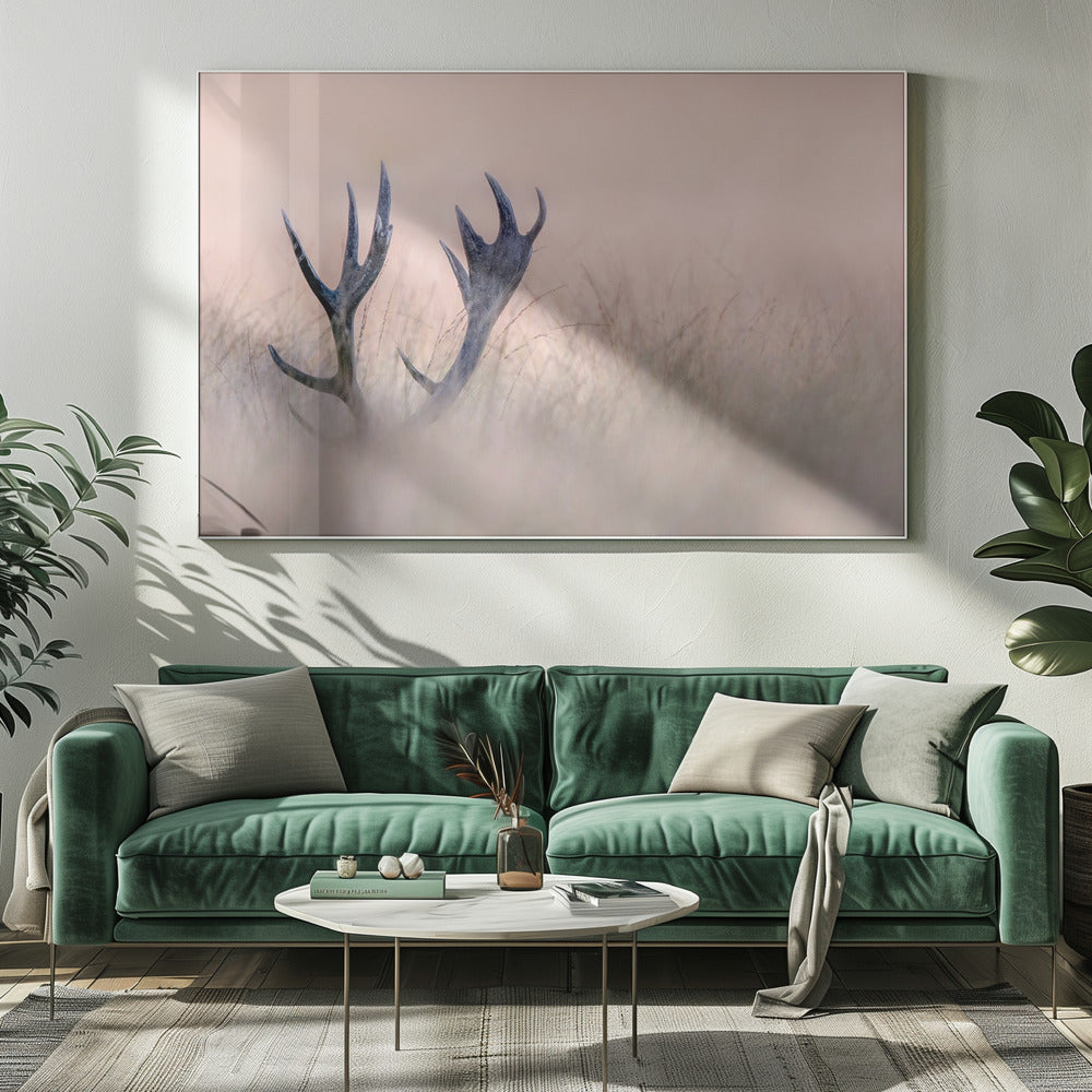 Wall art   Hide & Seek ( Horn of Stag)