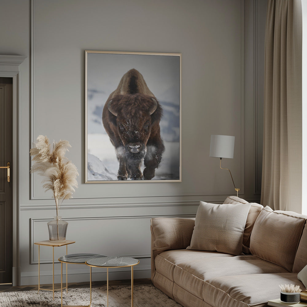 Wall art Bison Incoming Canvas Print