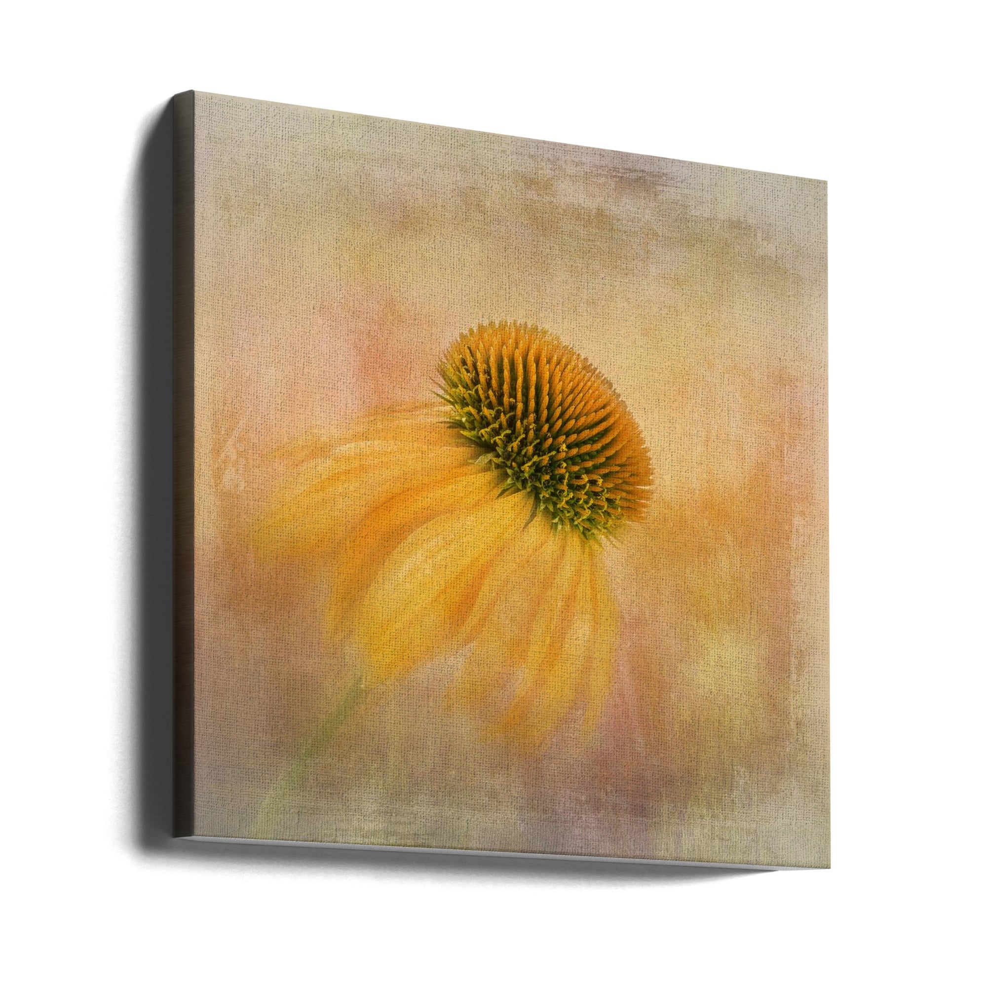 Wall art Echinacea in Yellow