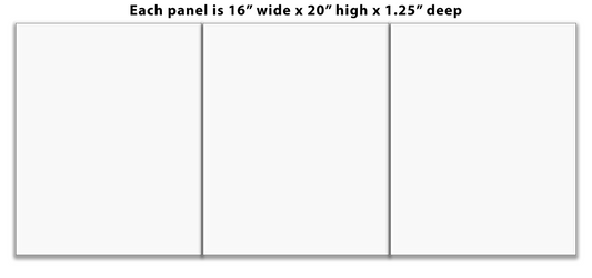 Triptych 16" x 20" each Panel
