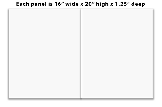 Diptych 16" x 20" each panel