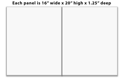 Diptych 16" x 20" each panel