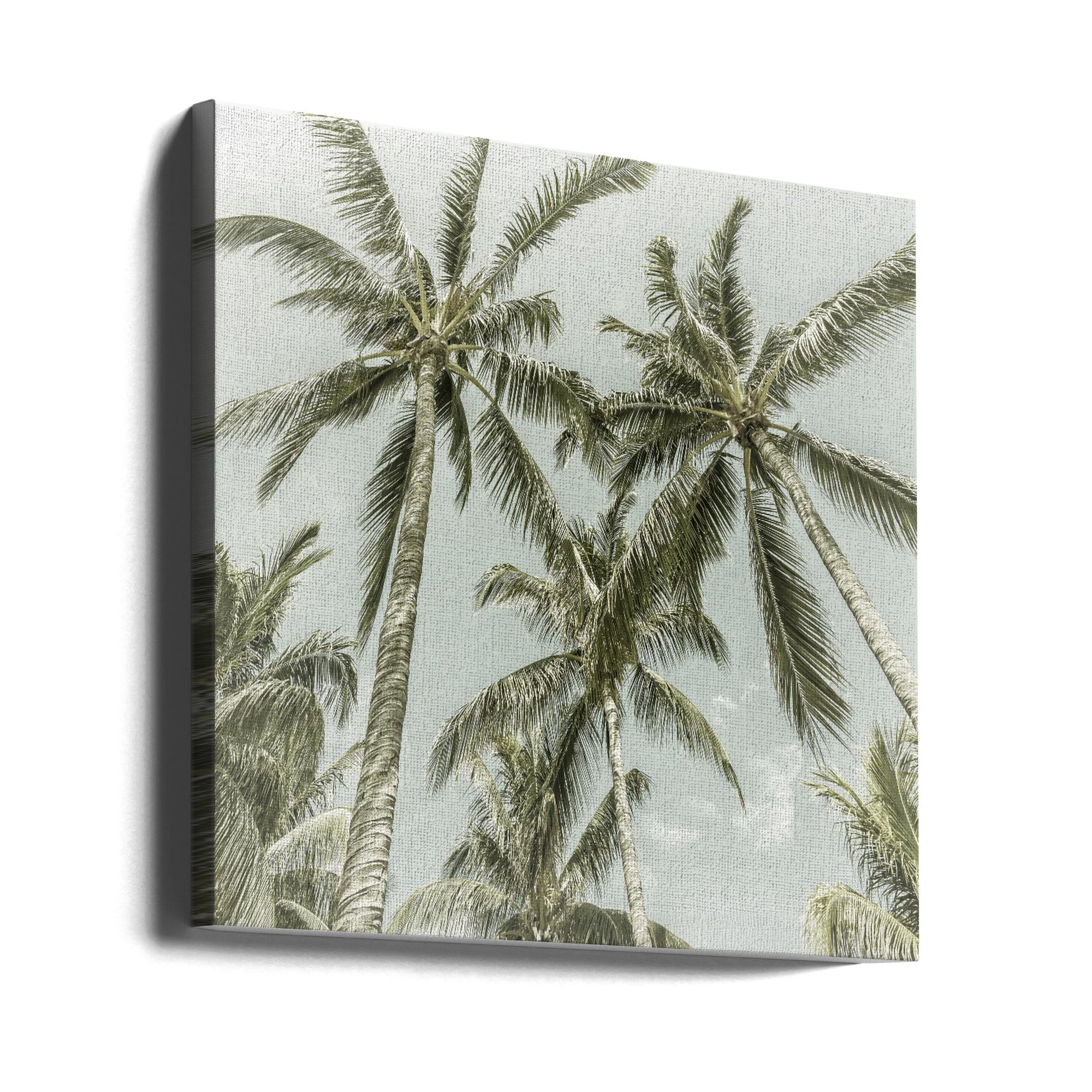 Wall art Lovely Vintage Palm Trees