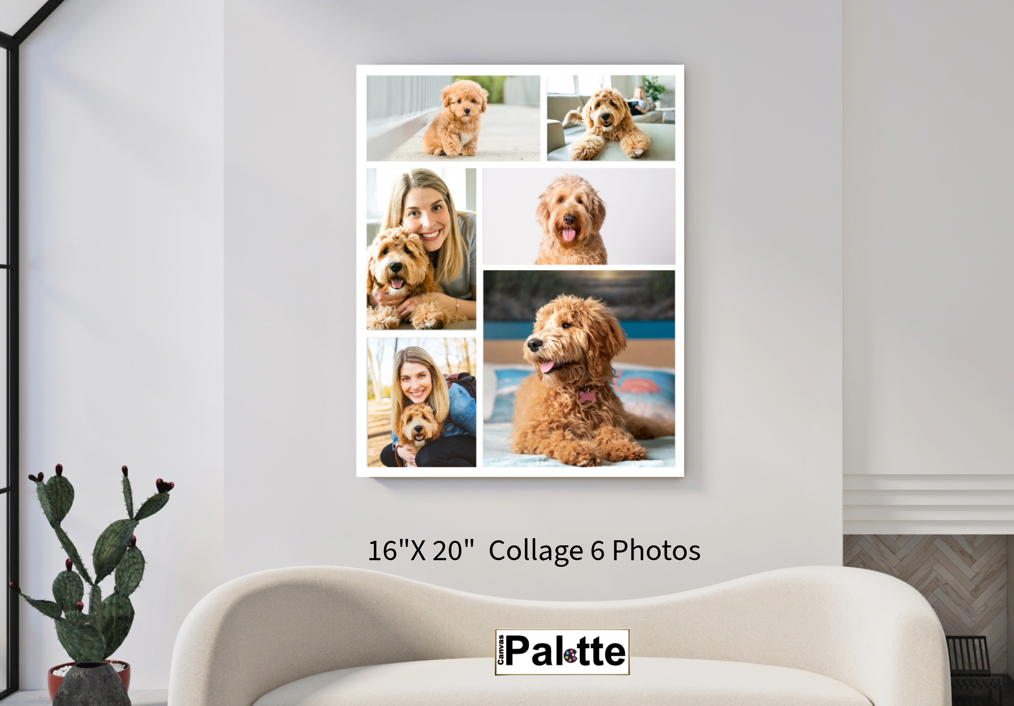 Canvas Goldendoodle collage 6 photos