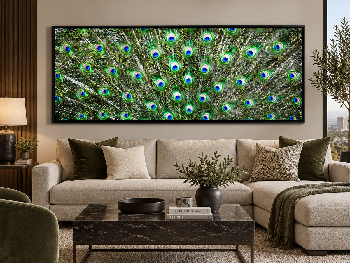 Peacock Feathers | Nature Canvas Wall Art
