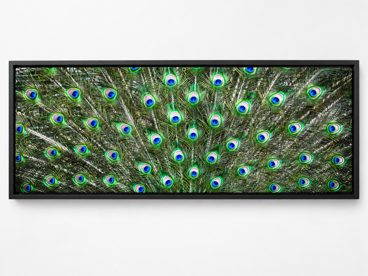 Peacock Feathers – decorative wall art, additional artwork view 7