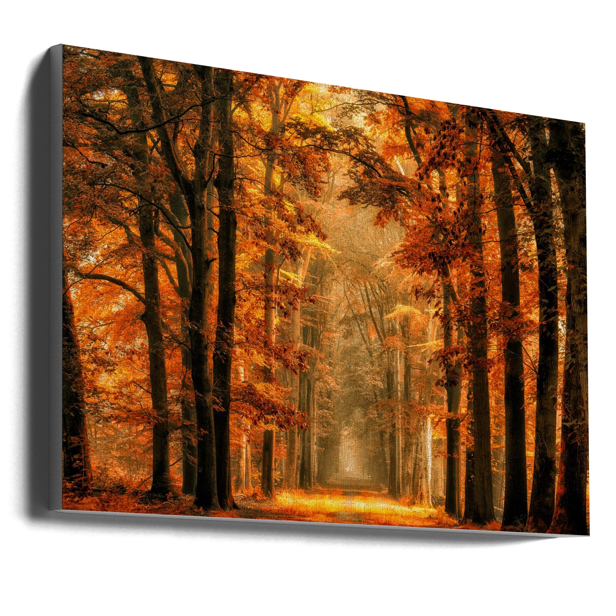 Wall art Exit the Portal Canvas Print