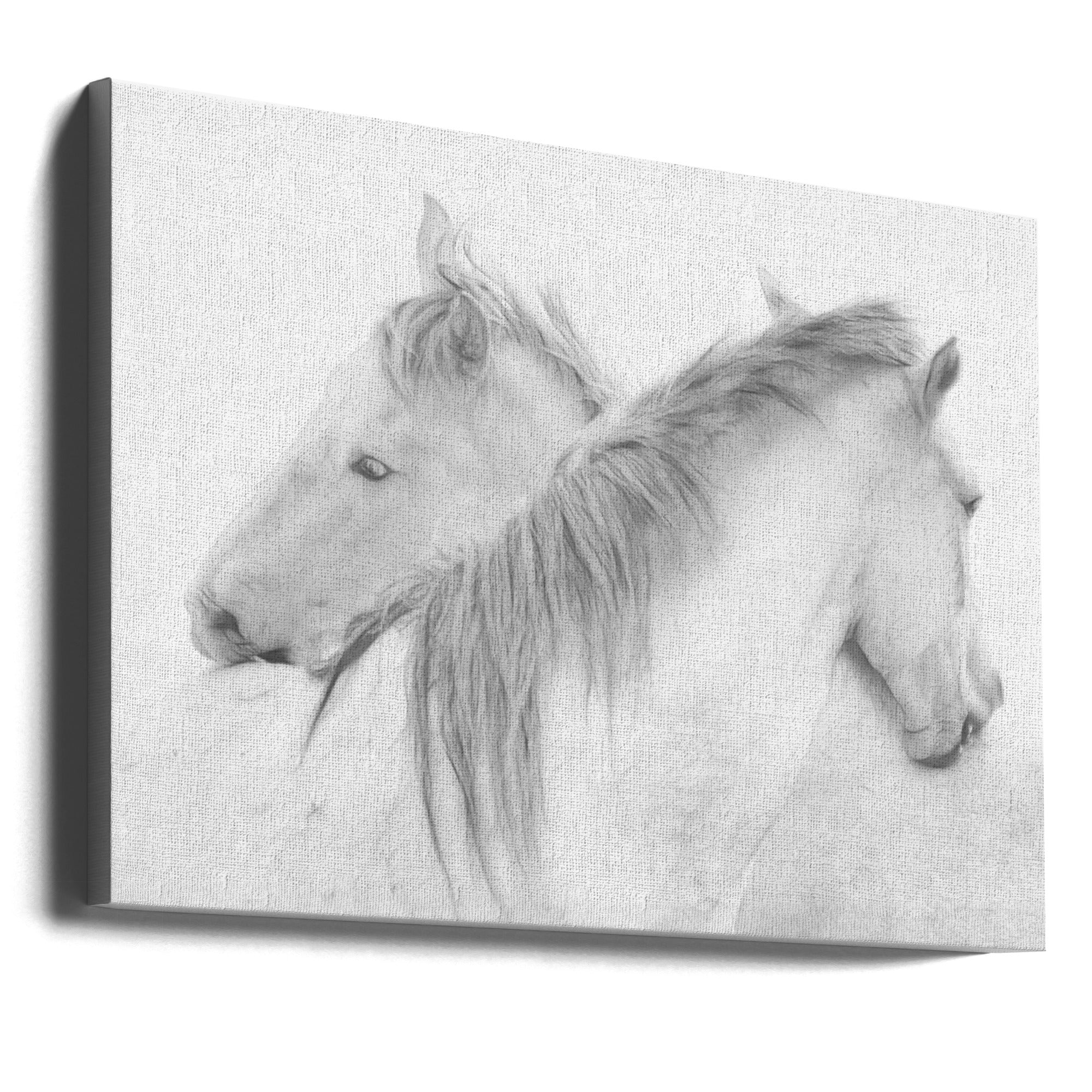 Wall art Horses