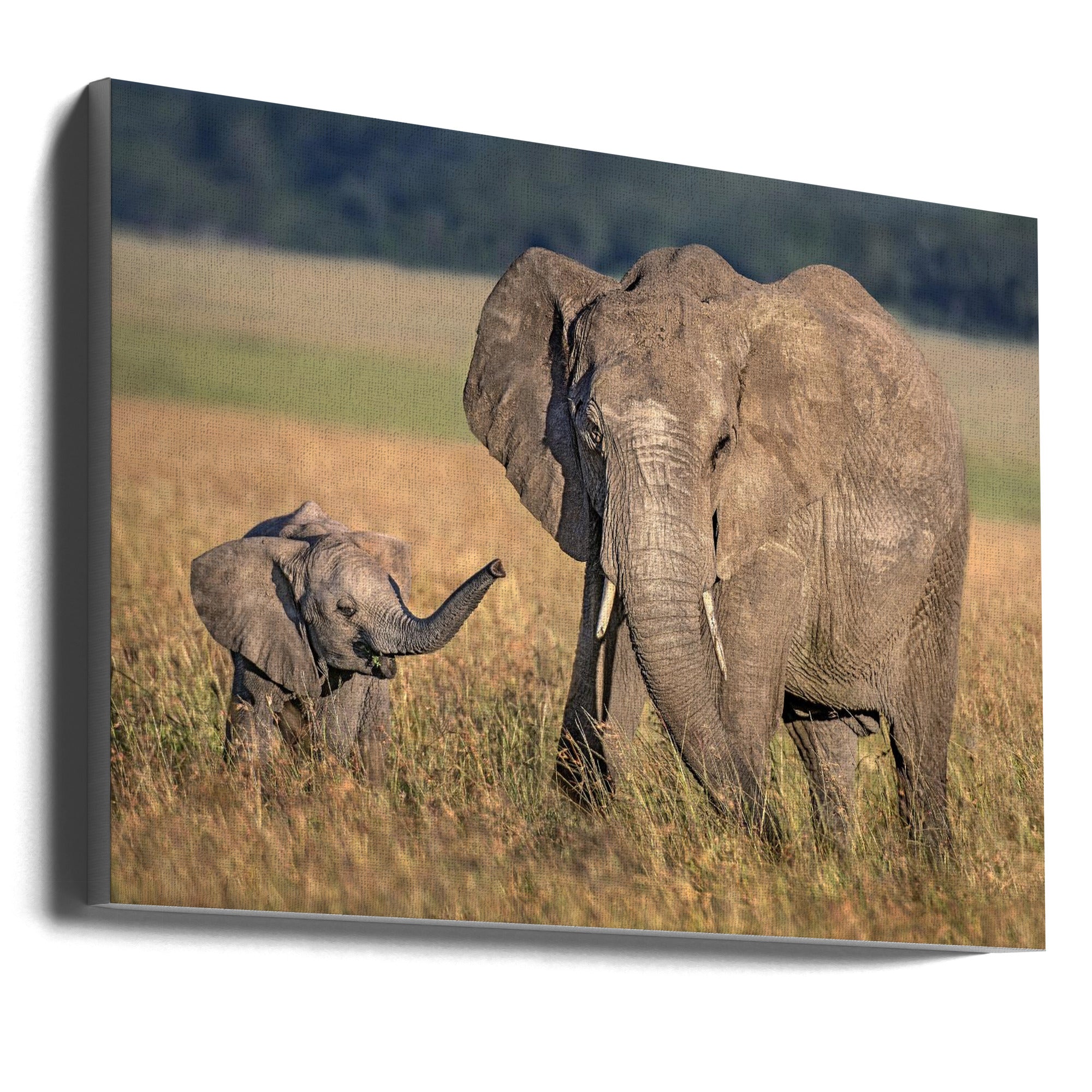 Wall art Mom elephant with calf