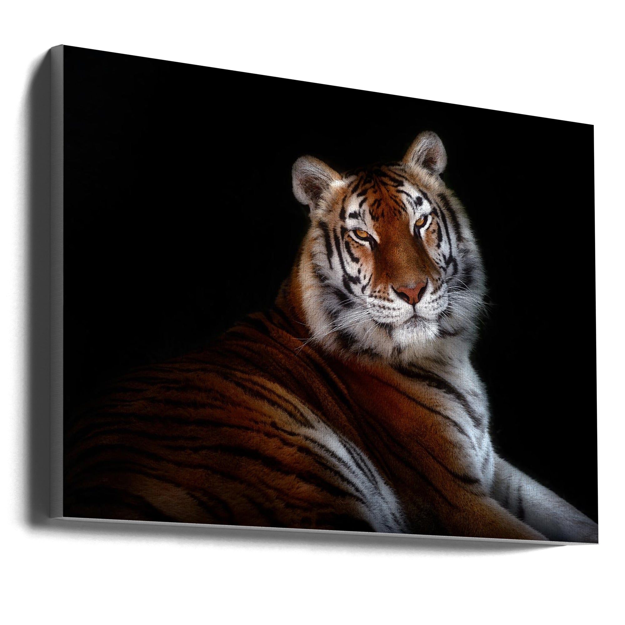 Wall art Serenity 36X24inch In Black Floating Frame