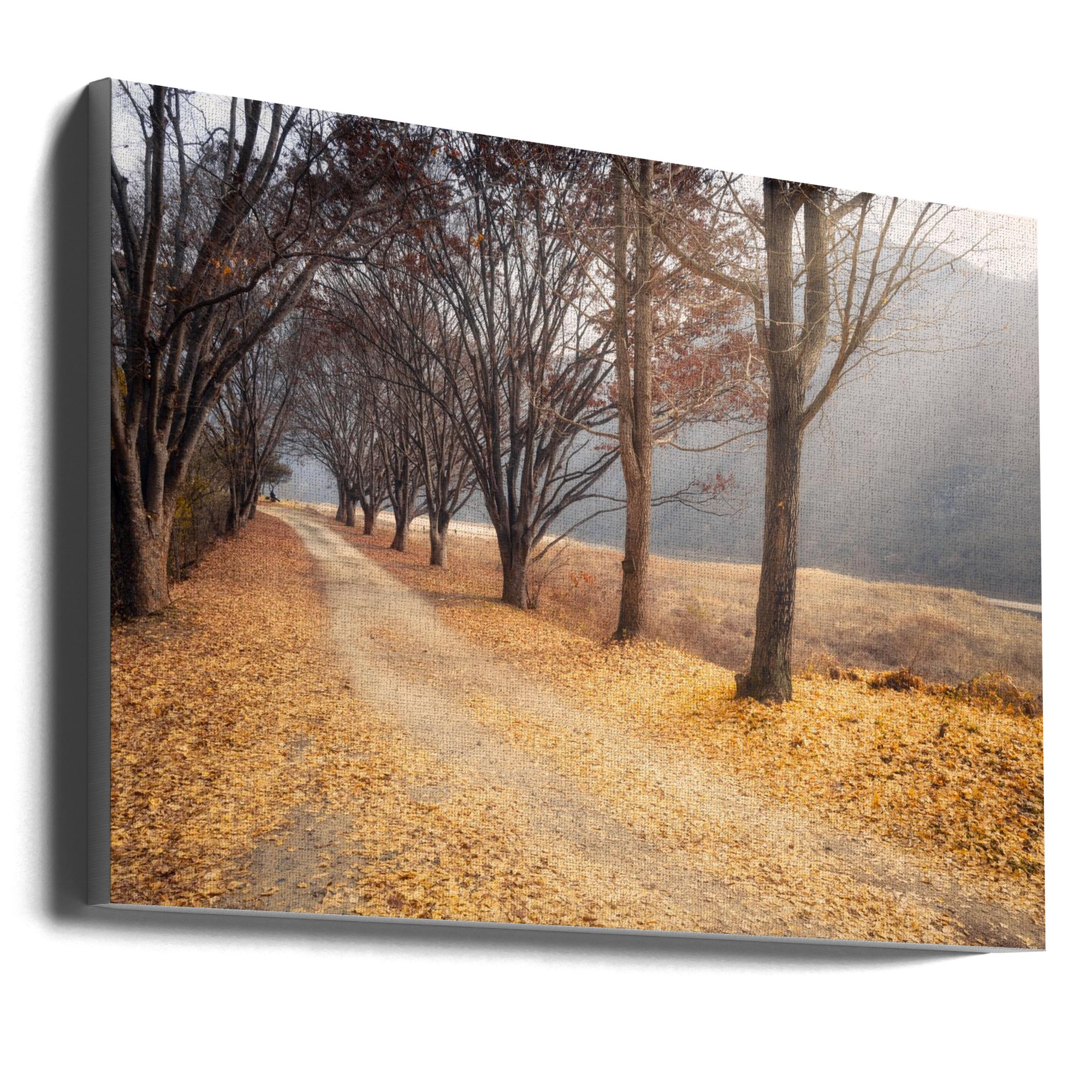 Wall art In the middle of autumn