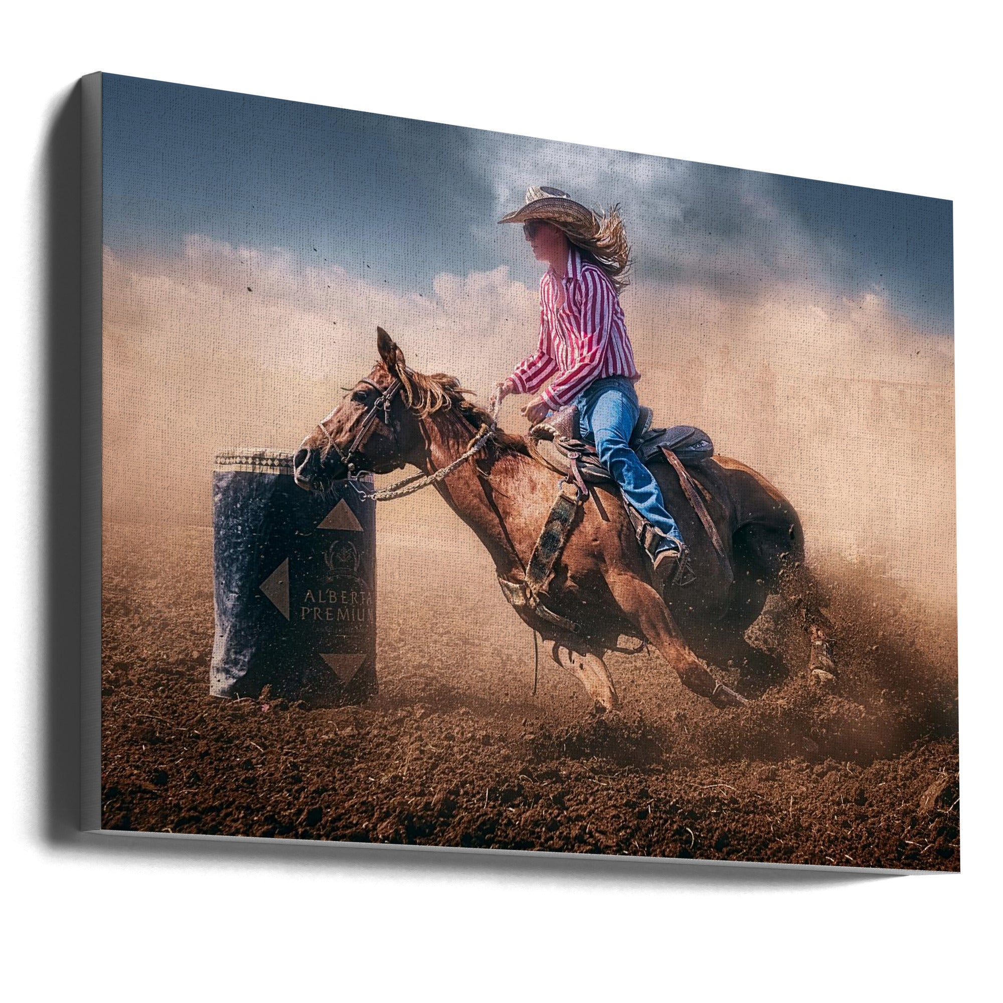 Wall Art Swift Brake and Turn 36X24inch In Black Floating Frame