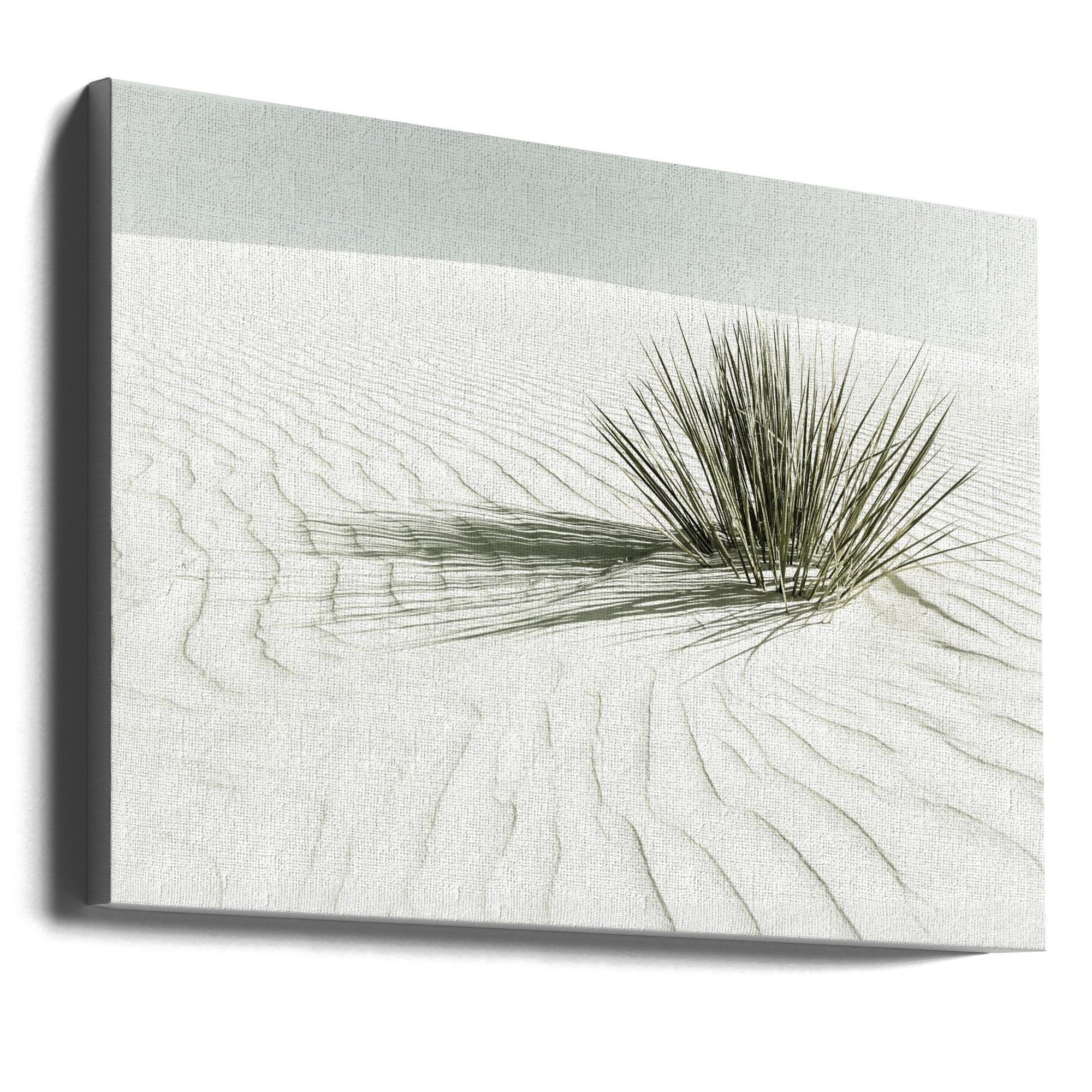 Landscape Photography Canvas Print-wall-art-white-sands-vintage-dune-36X24