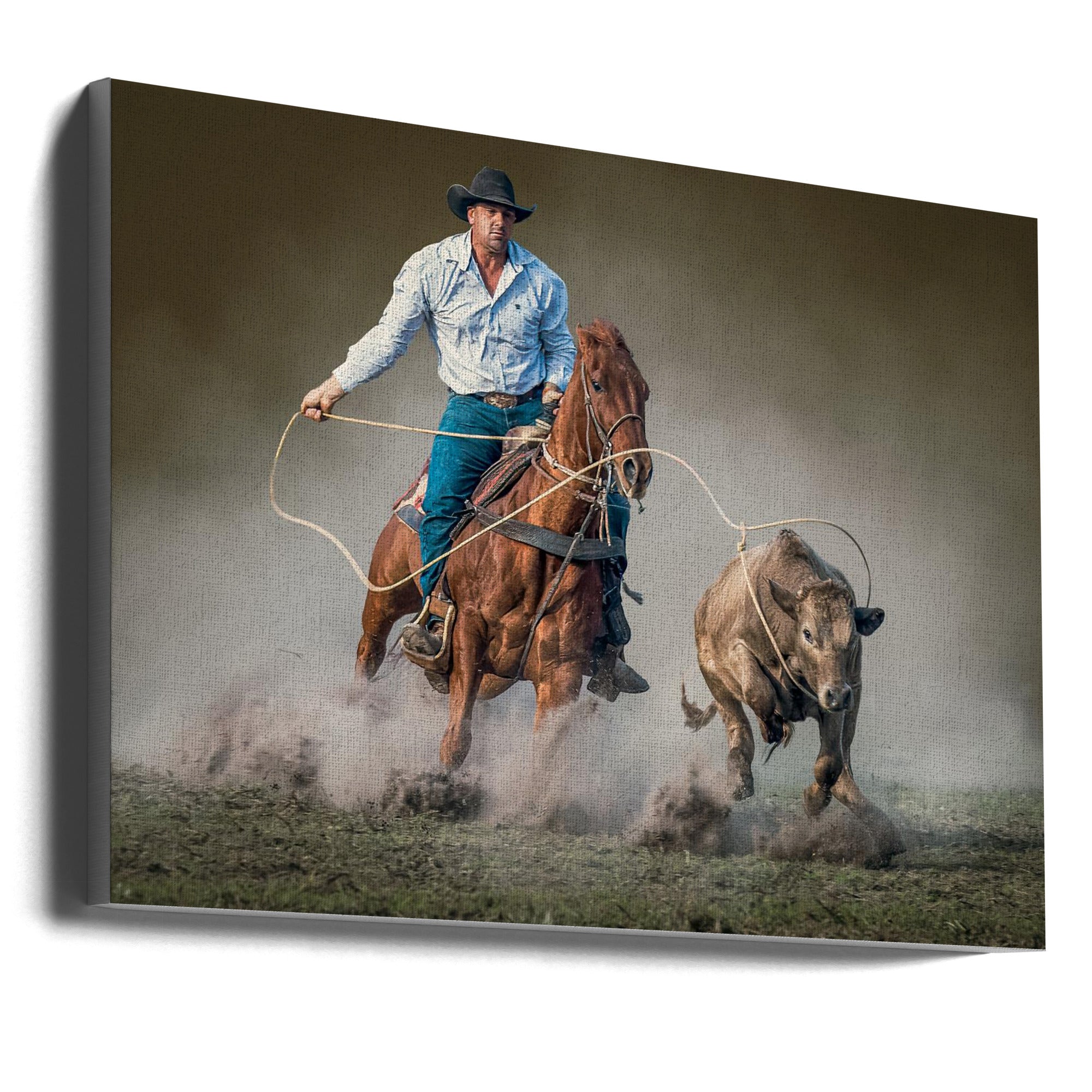 Wall art Roped Canvas Print