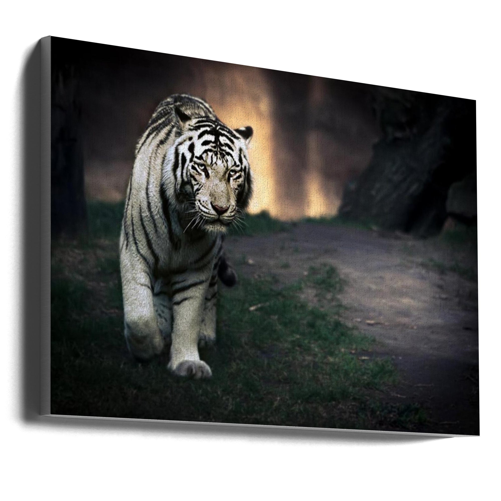 Wall Art Felines Nature-Inspired Canvas Print-wall-art-white-walker-36X24inches