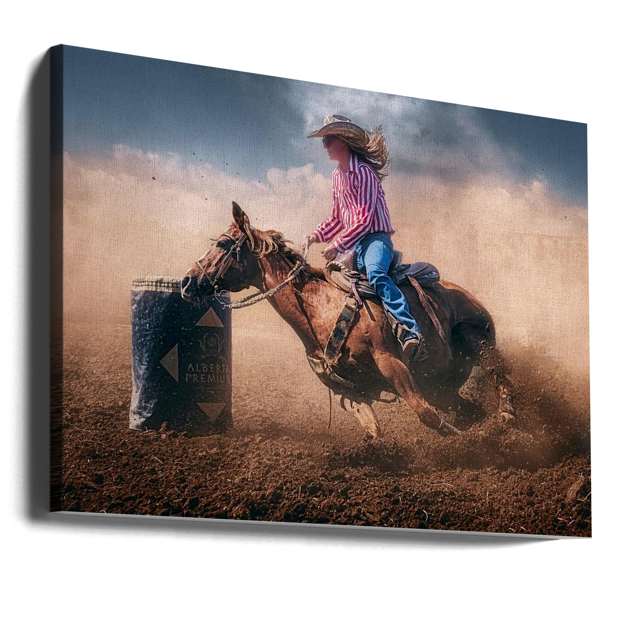 Wall Art Swift Brake and Turn 48X36inch In White Floating Frame