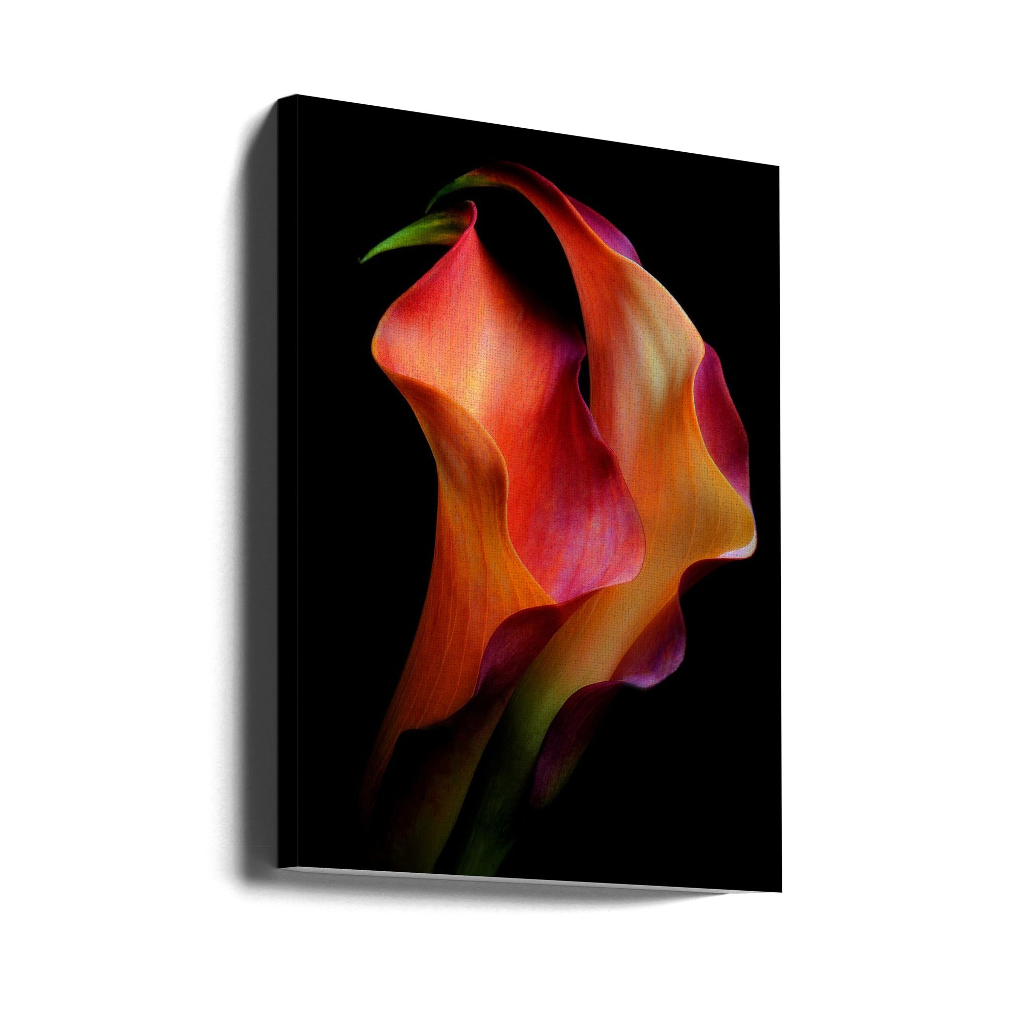 Wall art Tenderness Canvas Print