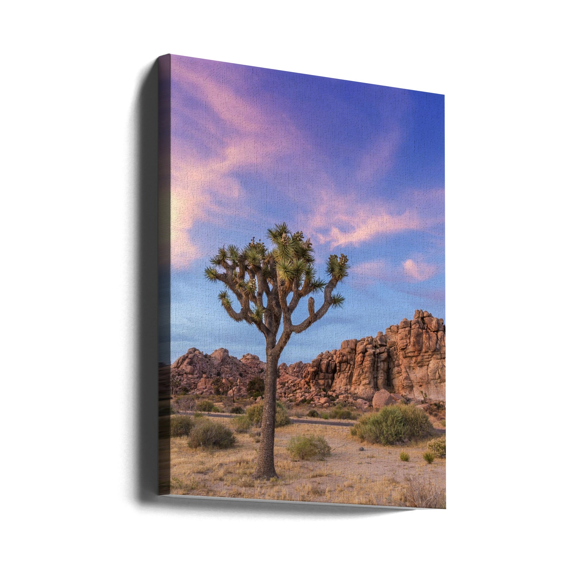 Landscape Photography Canvas Print-wall-art-joshua-tree-evening-atmosphere-24X36