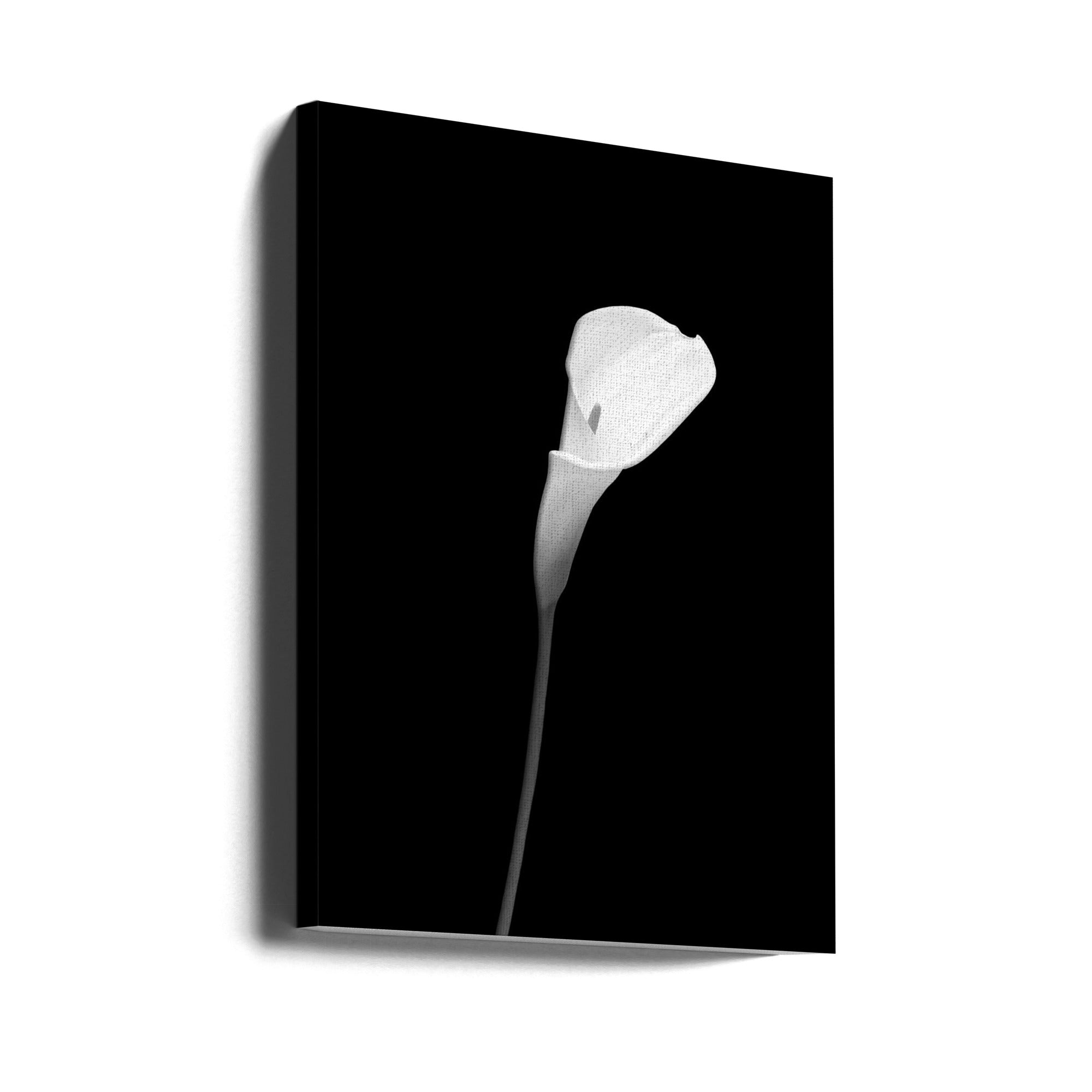 Landscape Photography Canvas Print-wall-art-calla-dark-design-24X36