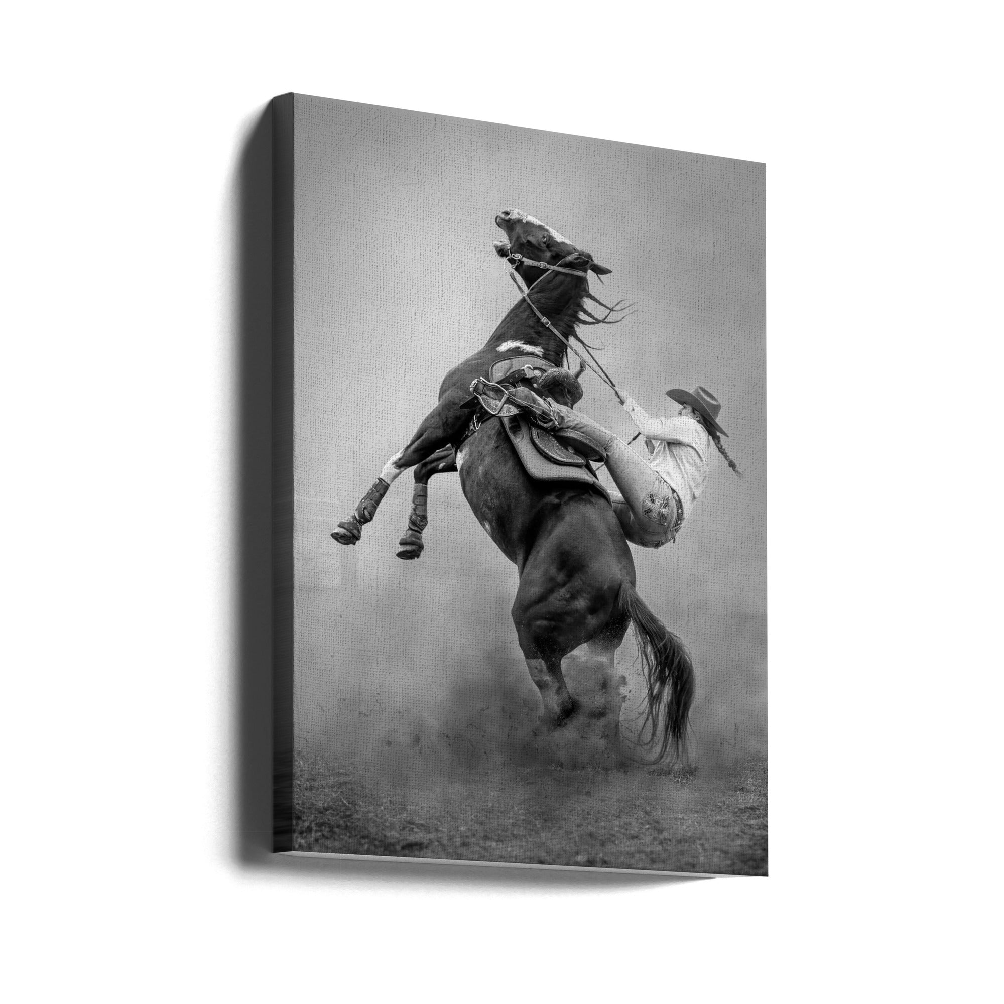 Wall art Startled Canvas Print