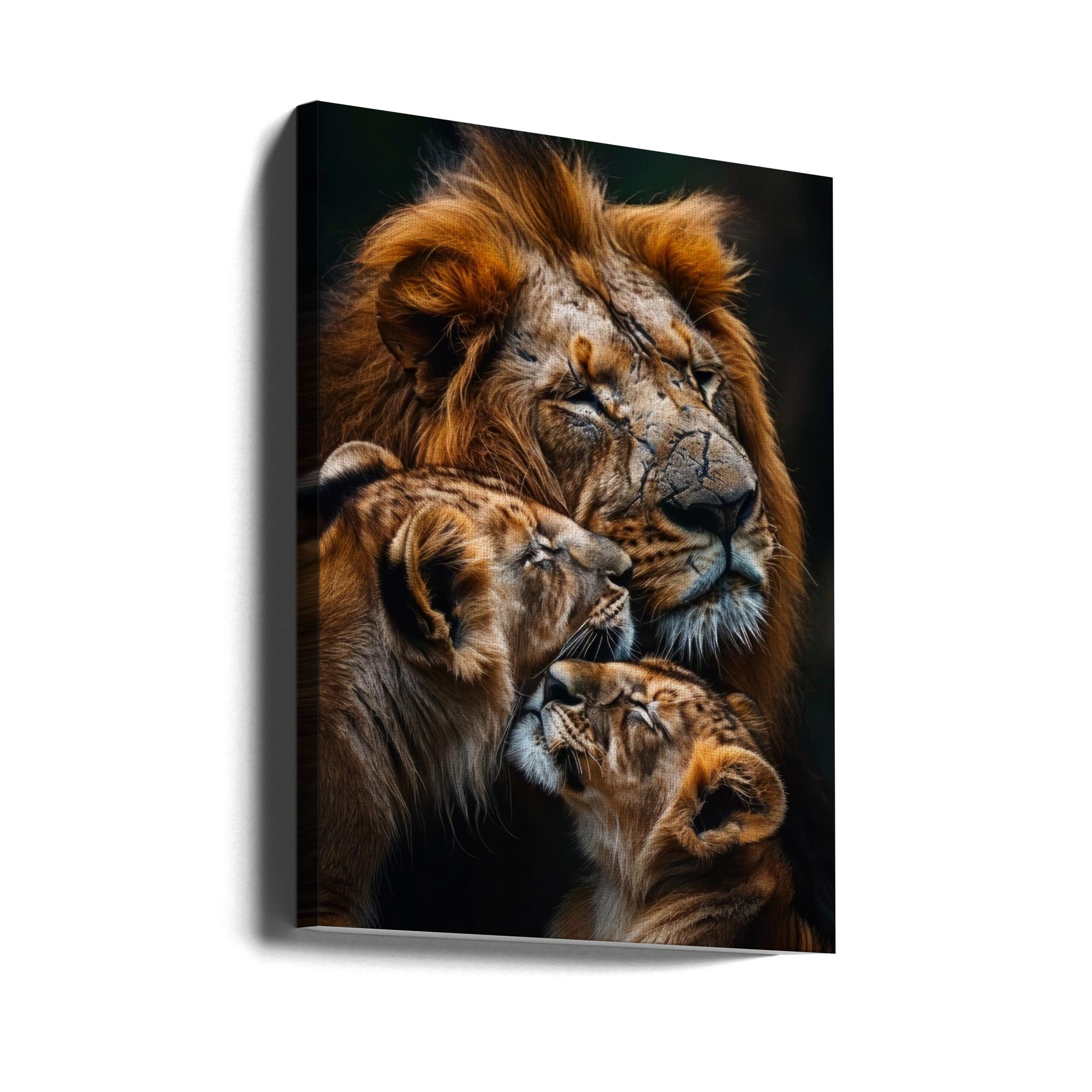 Wall art Poster Lion Family 2 24X36inch In Black Floating Frame