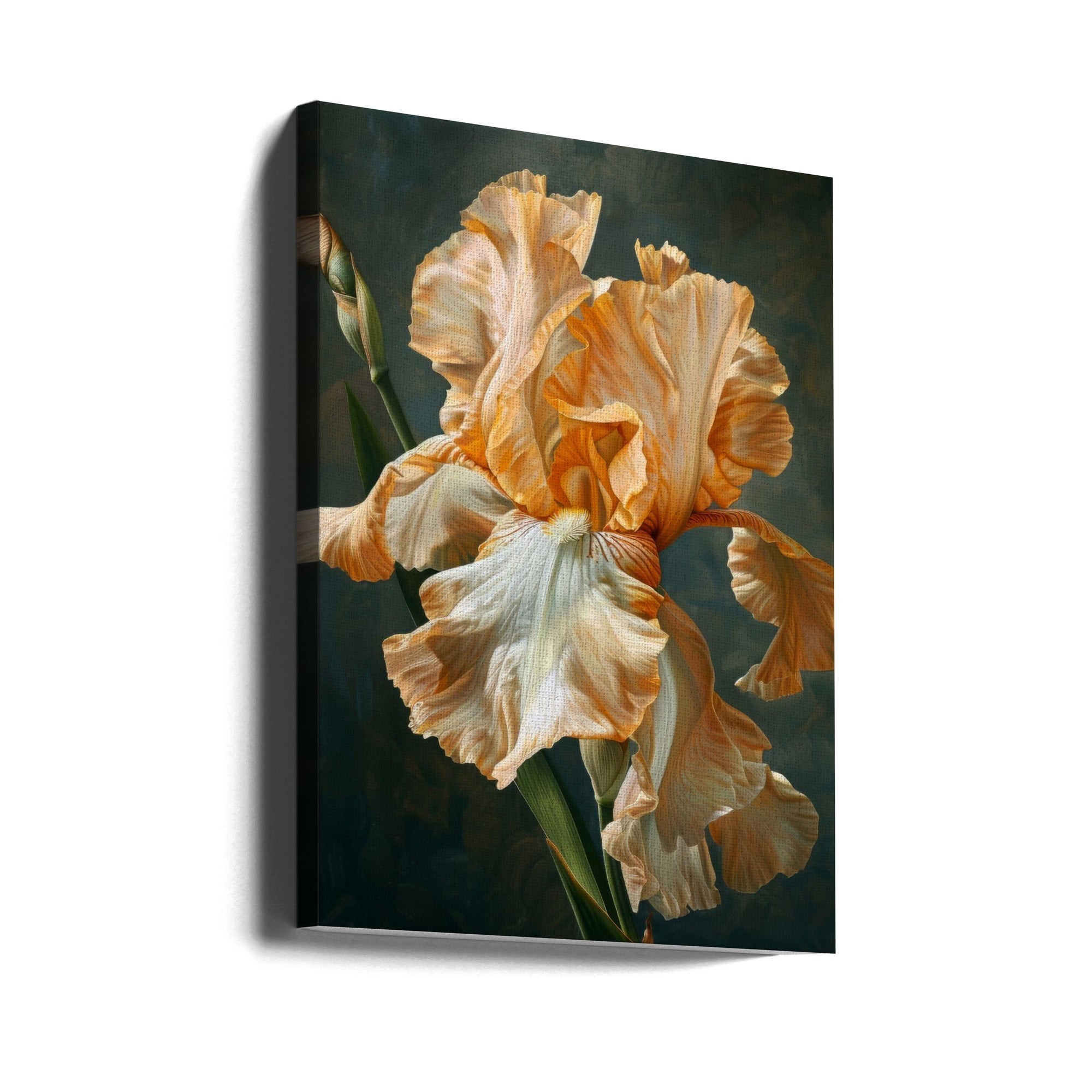 Wall art Iris Fl 73 24X36inch In Black Floating Frame