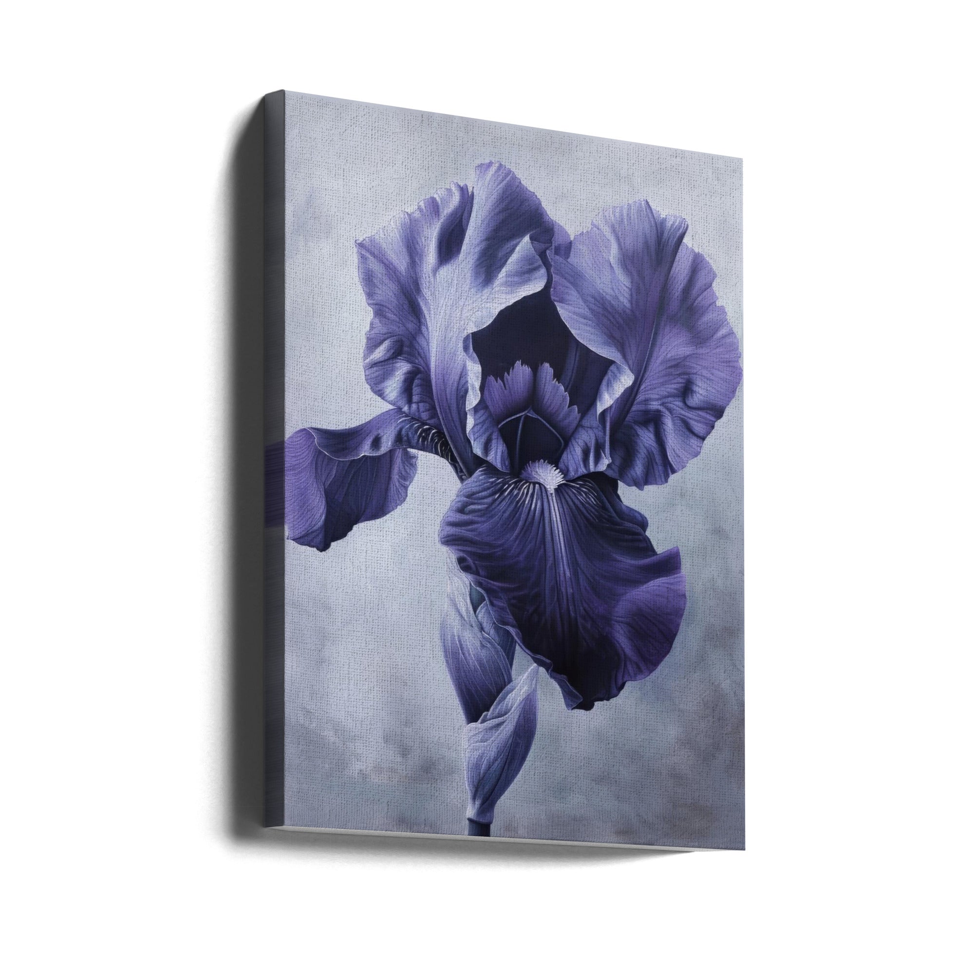 Wall art Iris Fl 95 24X36inch In Black Floating Frame