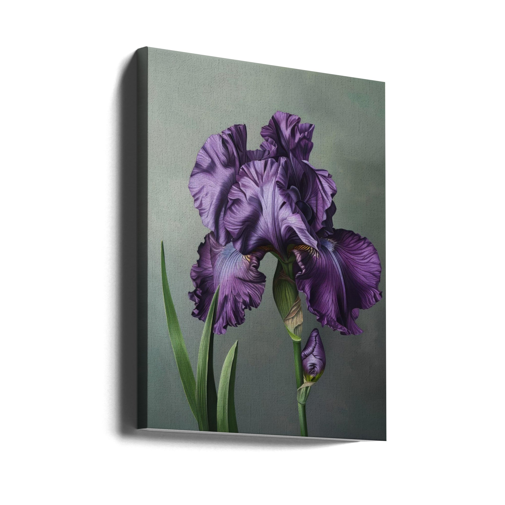 Wall art Iris Fl 18 24X36inch In Black Floating Frame