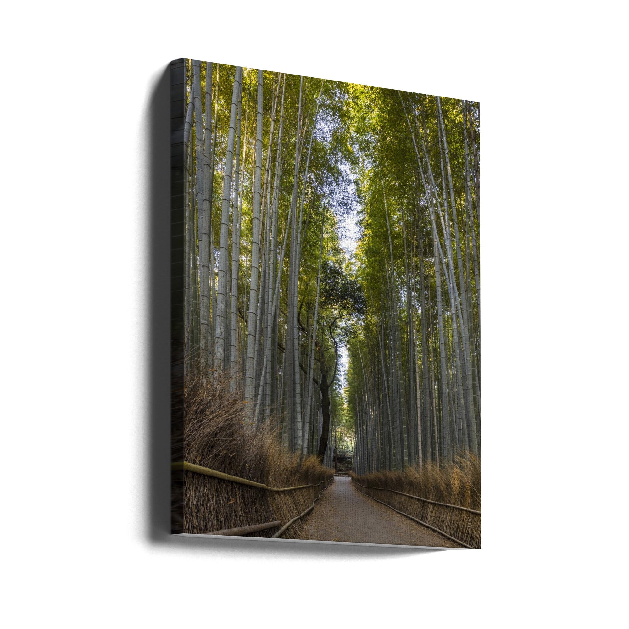 Landscape Photography Canvas Print-wall-art-mighty-arashiyama-bamboo-forest-24X36