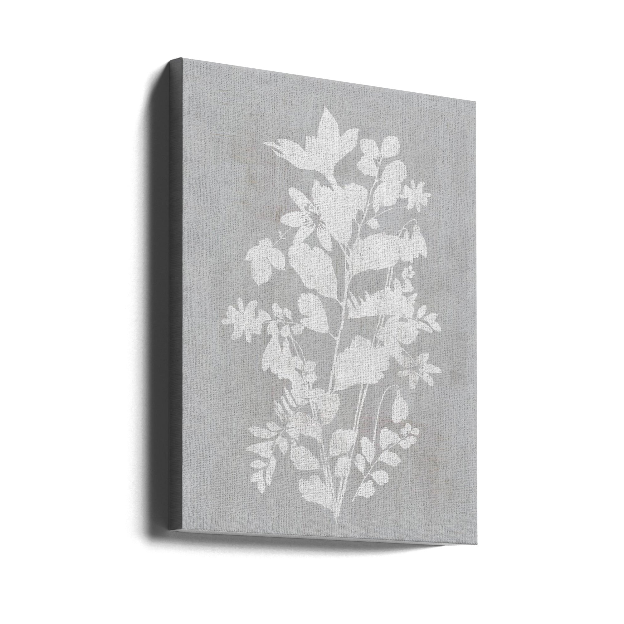 Wall art Botanical Illustration 2