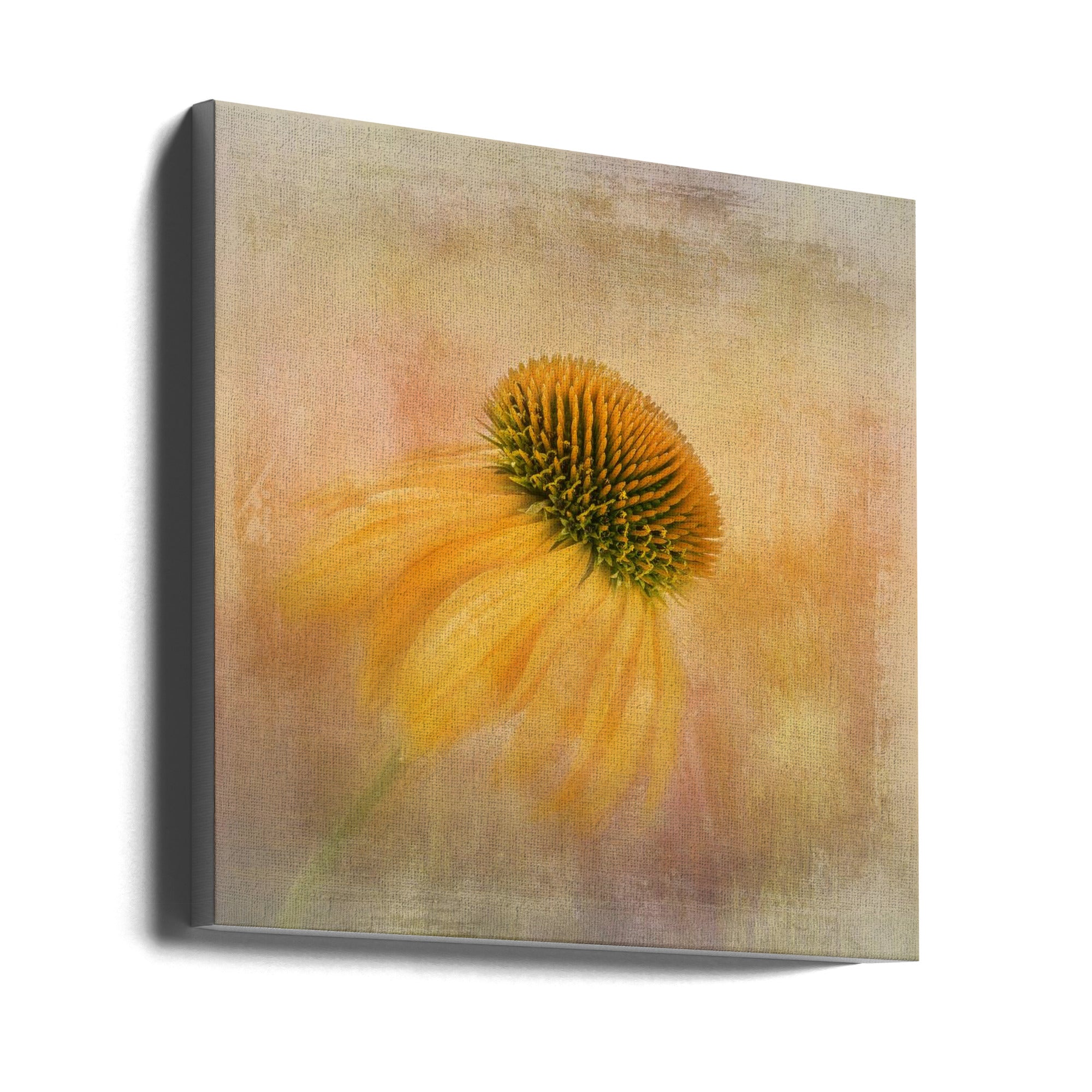 Wall art Echinacea in Yellow