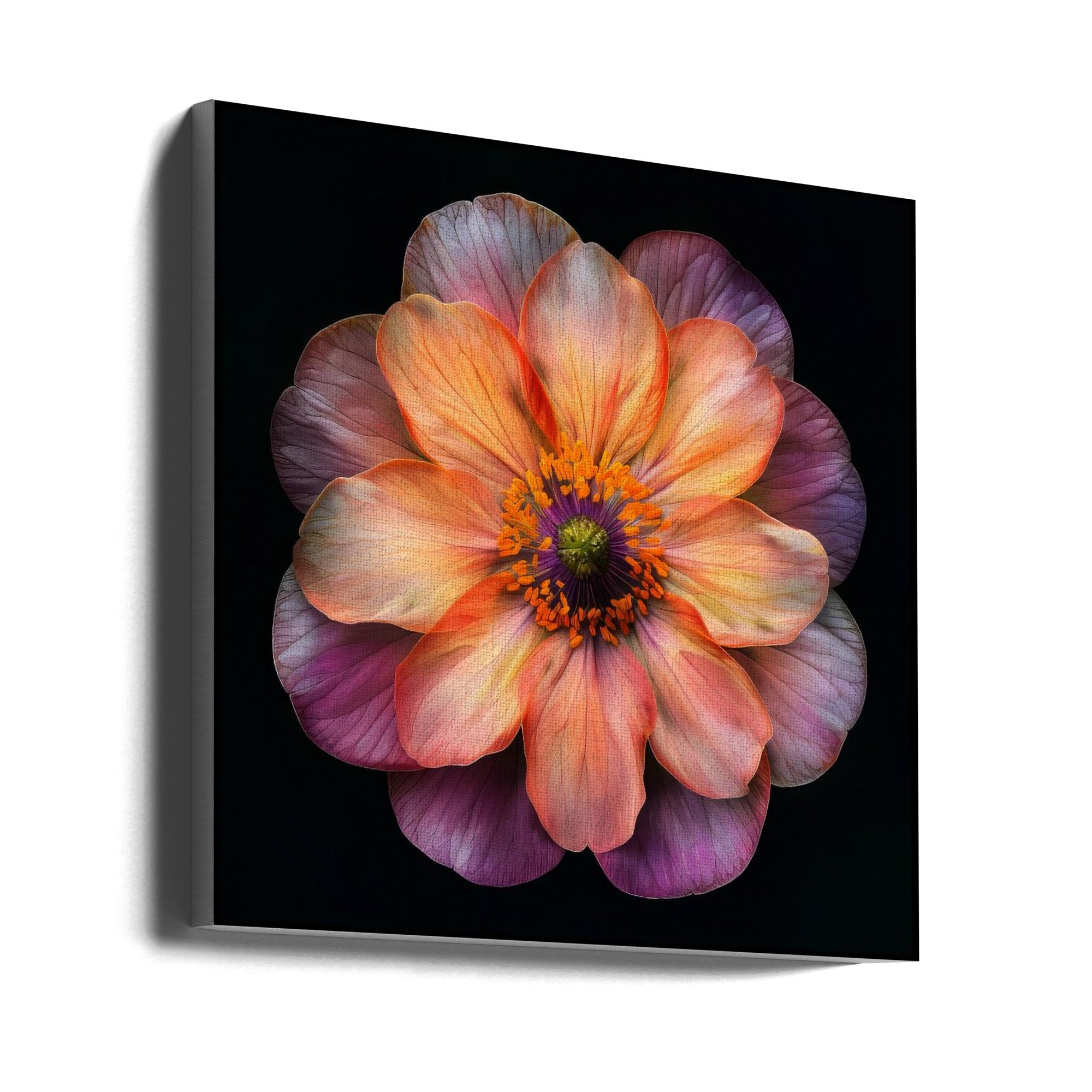 Wall art Macro Fl On Blk 20 24X24inch In Black Floating Frame