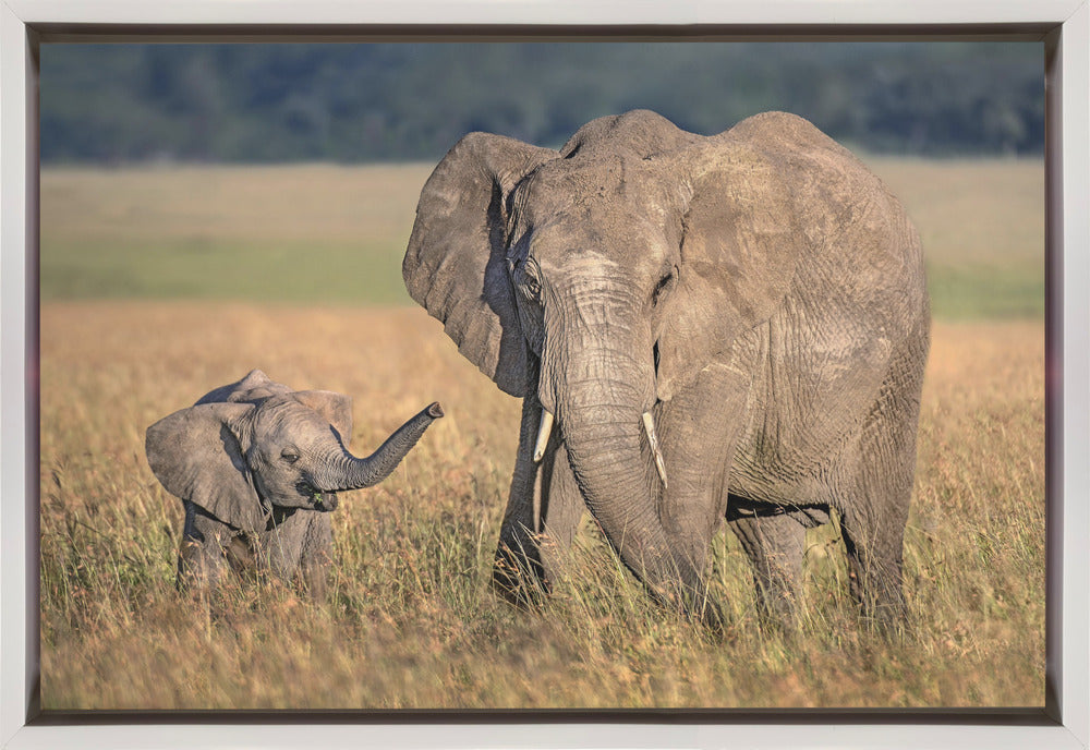 Wall art Mom elephant with calf