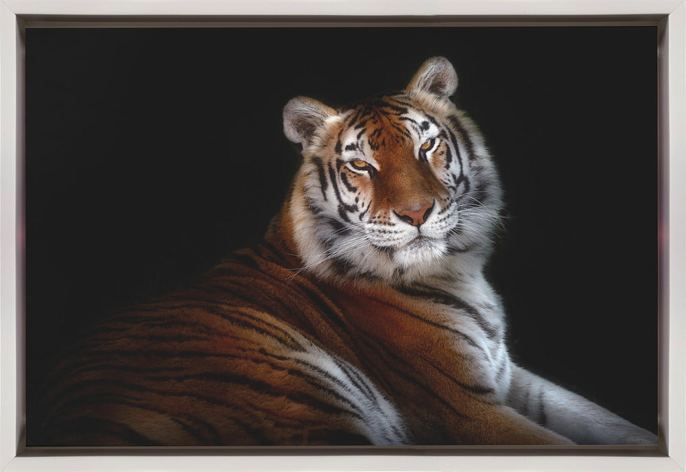 Wall art Serenity 36X24inch In White Floating Frame