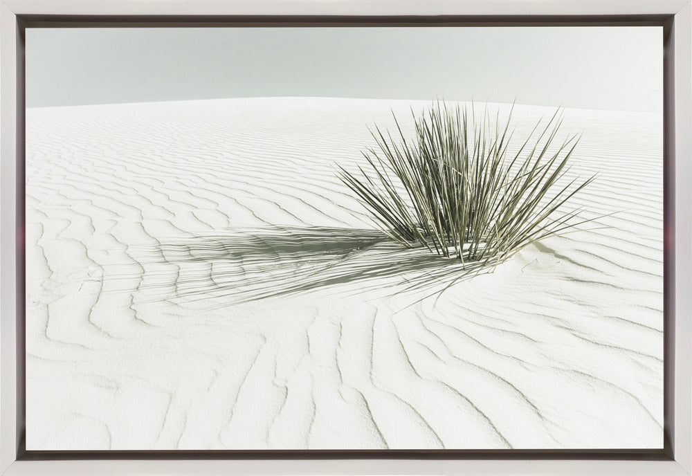 Landscape Photography Canvas Print-wall-art-white-sands-vintage-dune-36X24