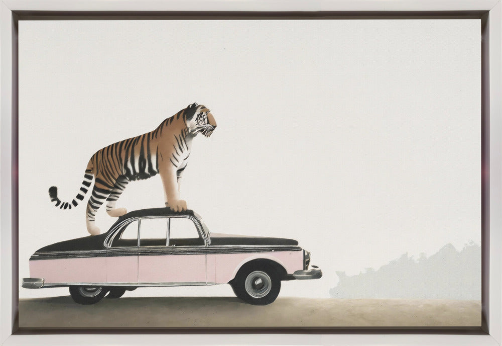 Wall art Tiger om a car roof 36X24inch In White Floating Frame