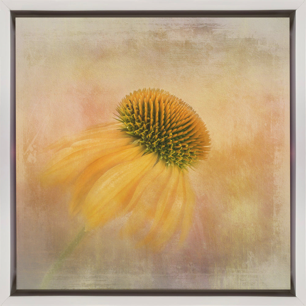 Wall art Echinacea in Yellow