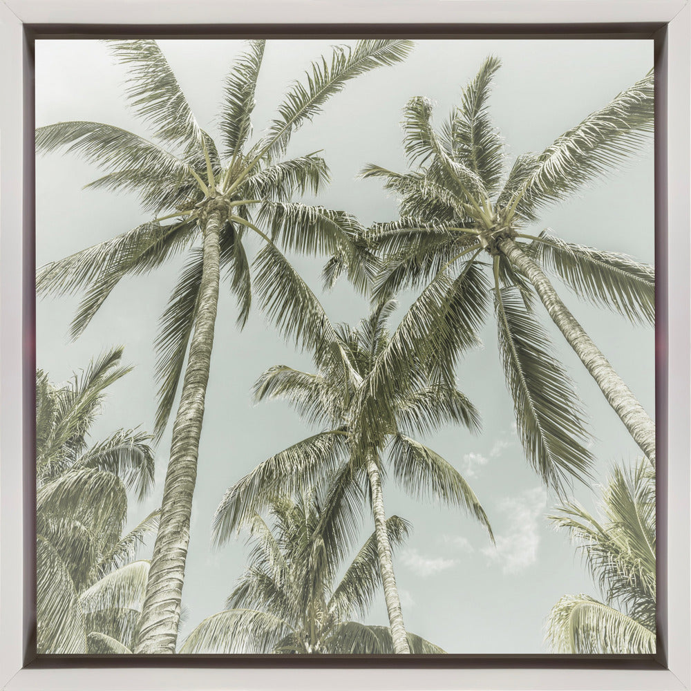 Wall art Lovely Vintage Palm Trees