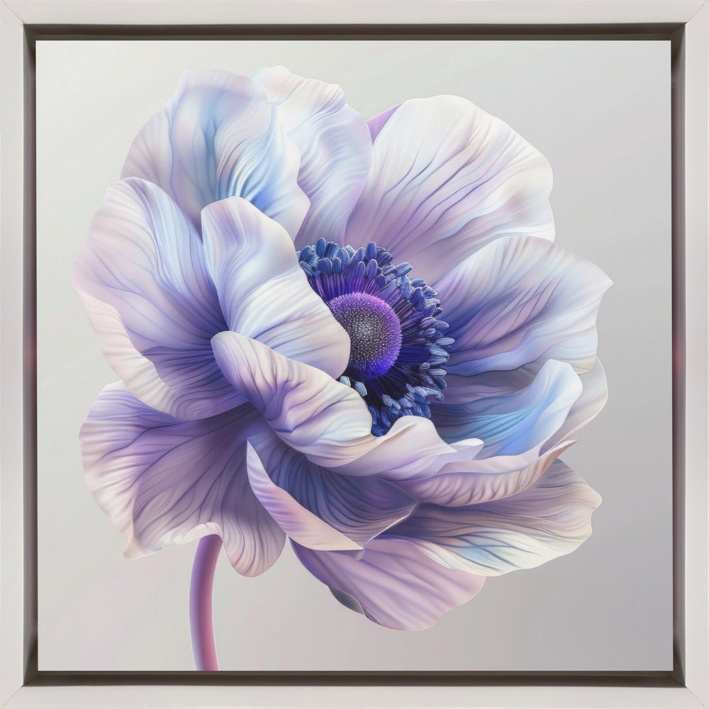 Wall art Lila Macro 10 24X24inch In White Floating Frame