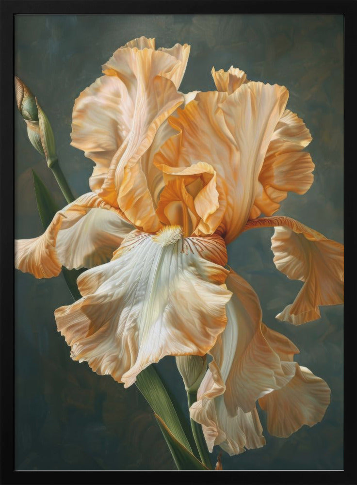 Wall art Iris Fl 75 36X48inch In Black Floating Frame