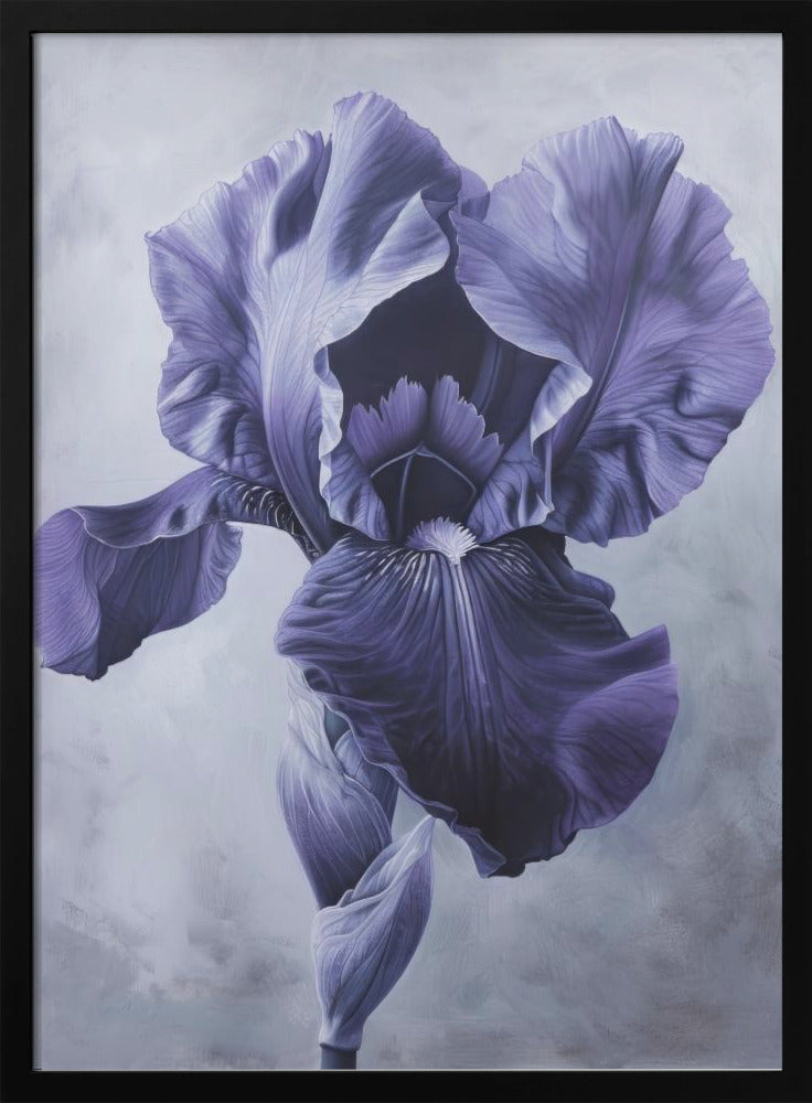 Wall art Iris Fl 97 36X48inch In Black Floating Frame