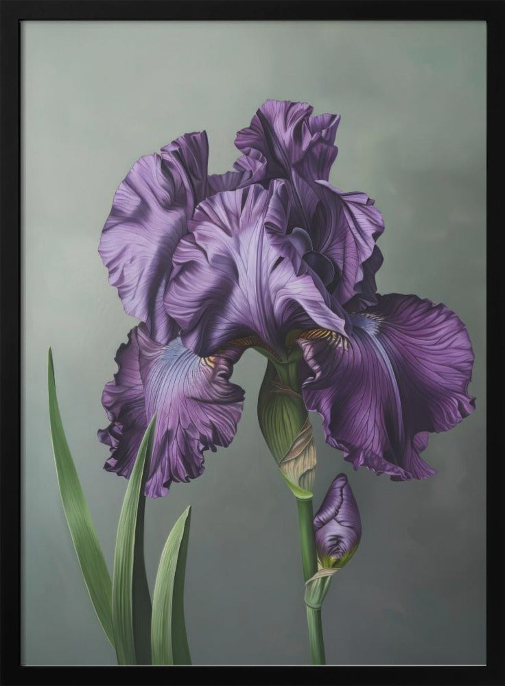 Wall art Iris Fl 20 36X48inch In Black Floating Frame