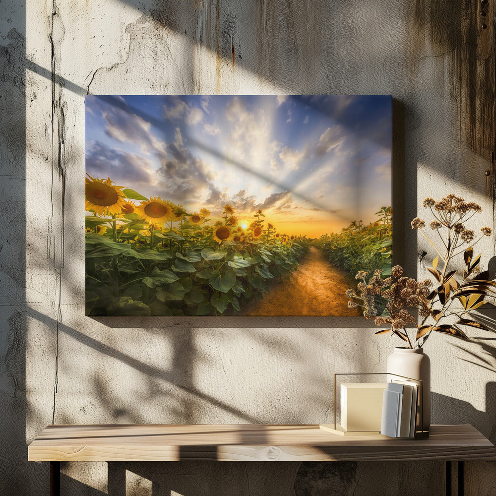 Landscape Photography Canvas Print-wall-art-path-through-the-sunflower-field-36X24